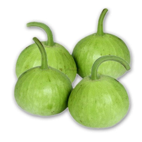F1 Hybrid Ghia Kaddu (گھیا کدو) 10 Seeds