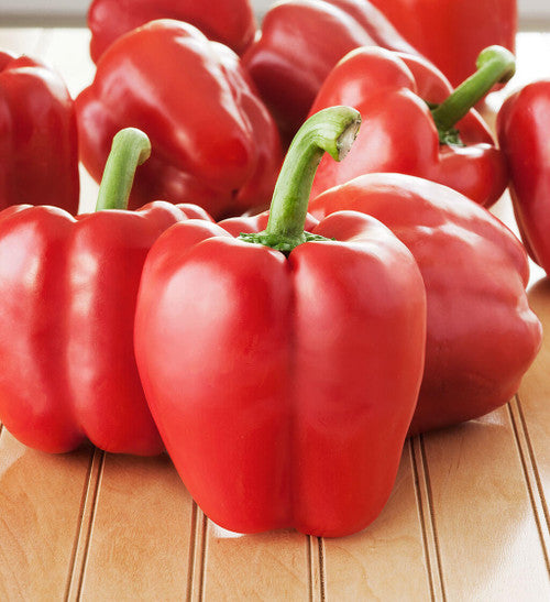 Hortus Red Capsicum 2.5 grams