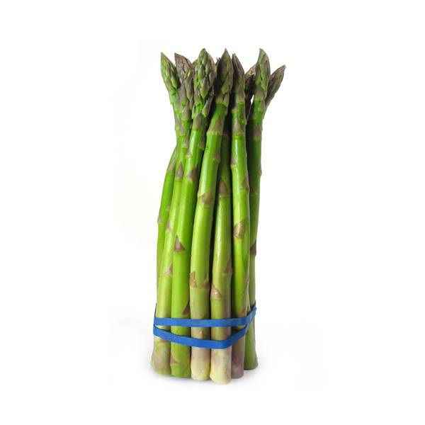 Hortus Asparagus 300+ Seeds