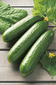 Hortus Alpha Cucumber 350+ Seeds