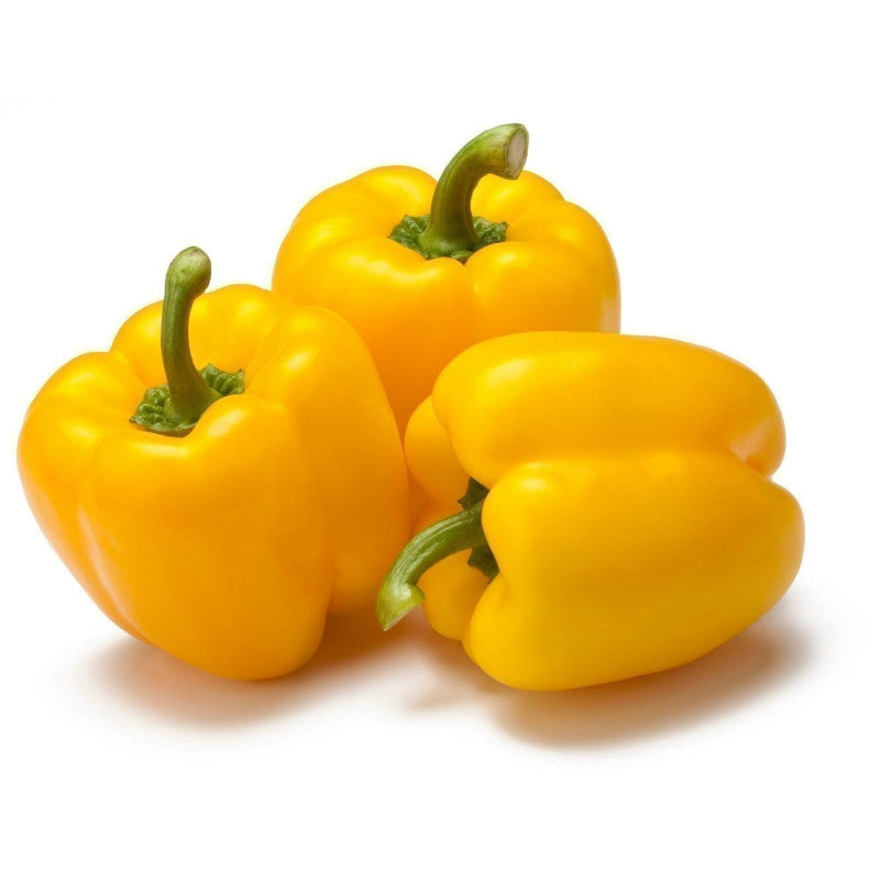 Hortus Yellow Capsicum 2.5 grams