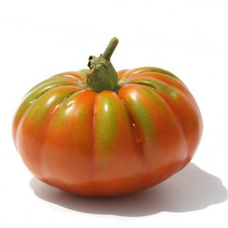 Hortus Pomodoro Pantano Romanesco Tomatoes 2gm