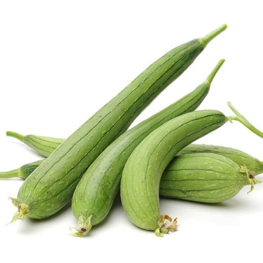 F1 Hybrid Sponge Gourd (توری) 10 Seeds