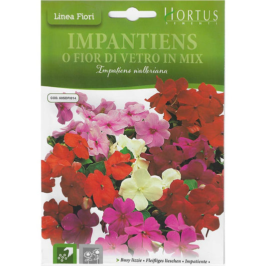 Hortus Busy Lizzie Mix 70+ Seeds