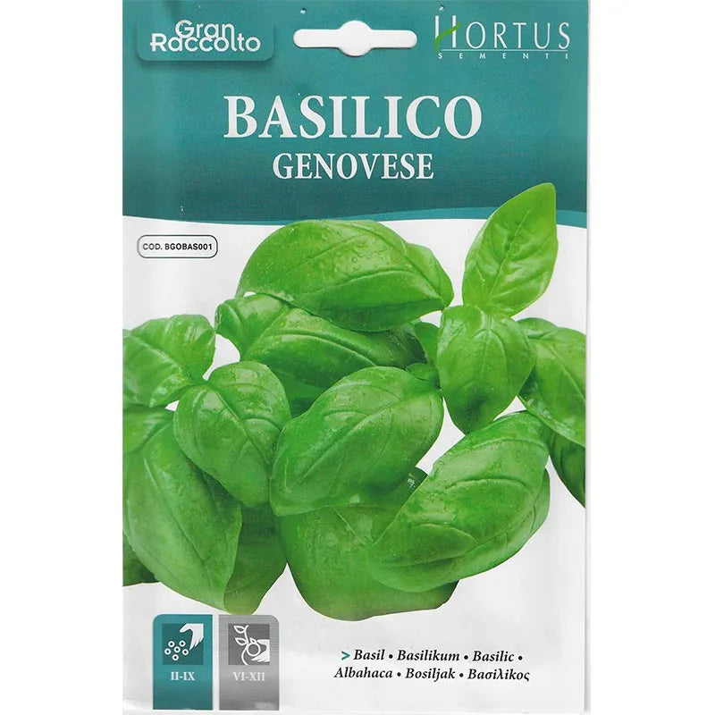 Hortus Sweet Basil 6000+ Seeds