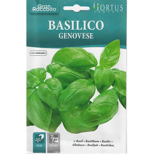 Hortus Sweet Basil 6000+ Seeds