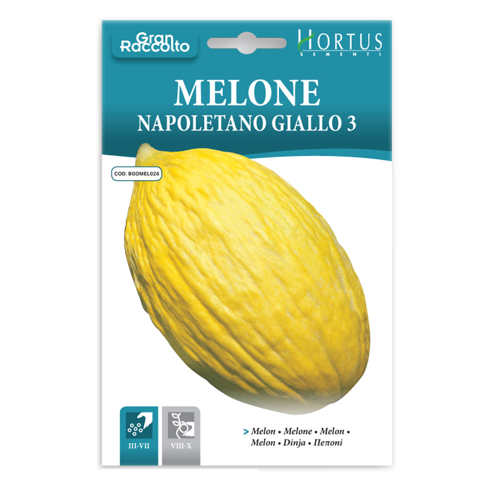 Hortus Oval Melon 250+ Seeds