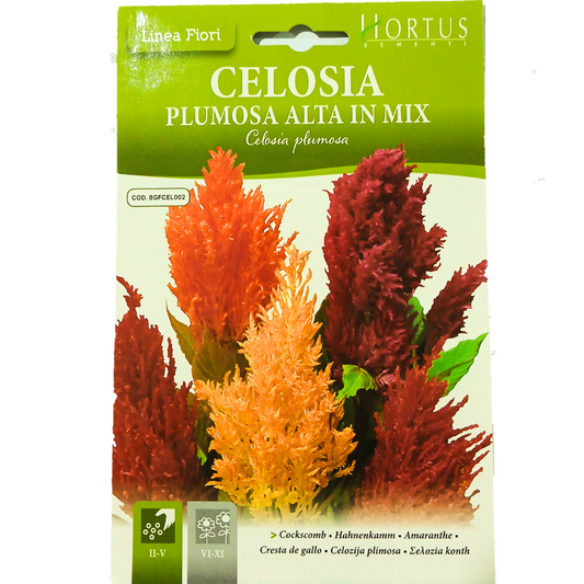 Hortus Celosia Pulmosa Tall Mix 1000+ Seeds