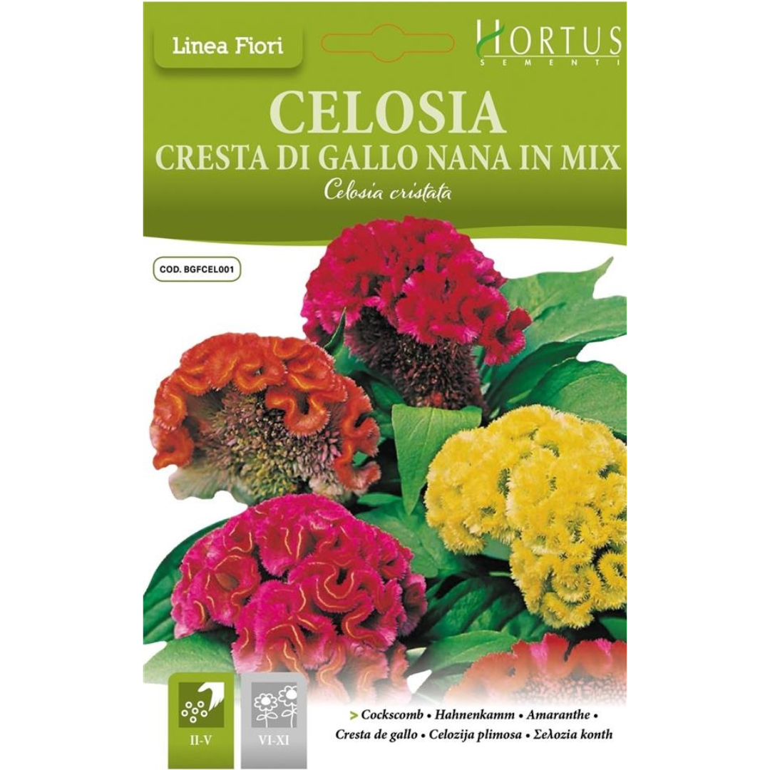 Hortus Celosia Cristata Dwarf Mix 1000+ Seeds