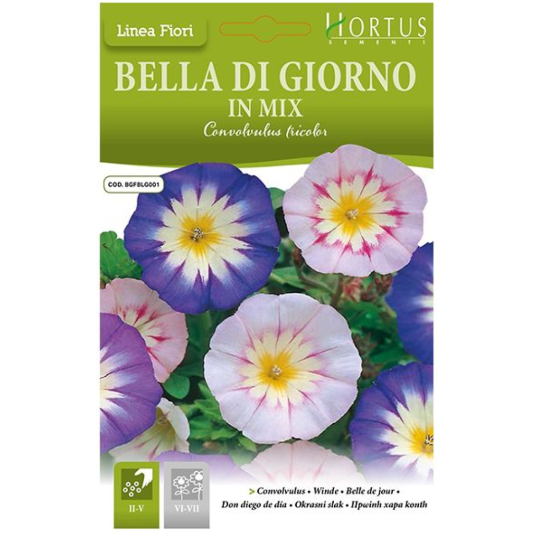 Hortus Convolvulus (Morning Glory) 40+ Seeds