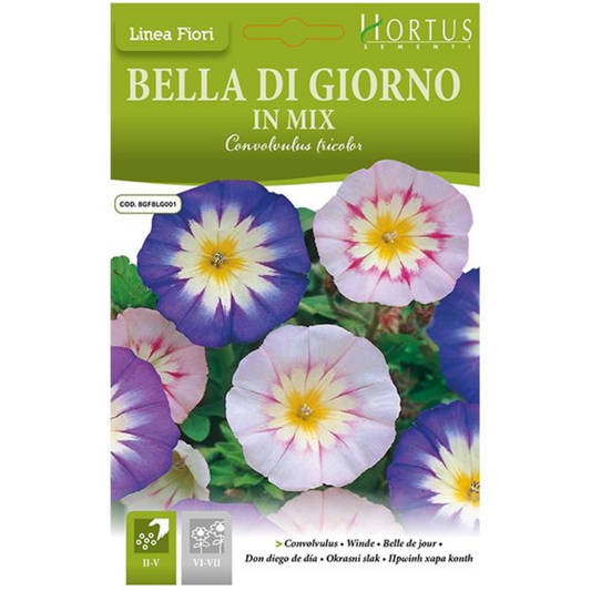 Hortus Convolvulus (Morning Glory) 40+ Seeds