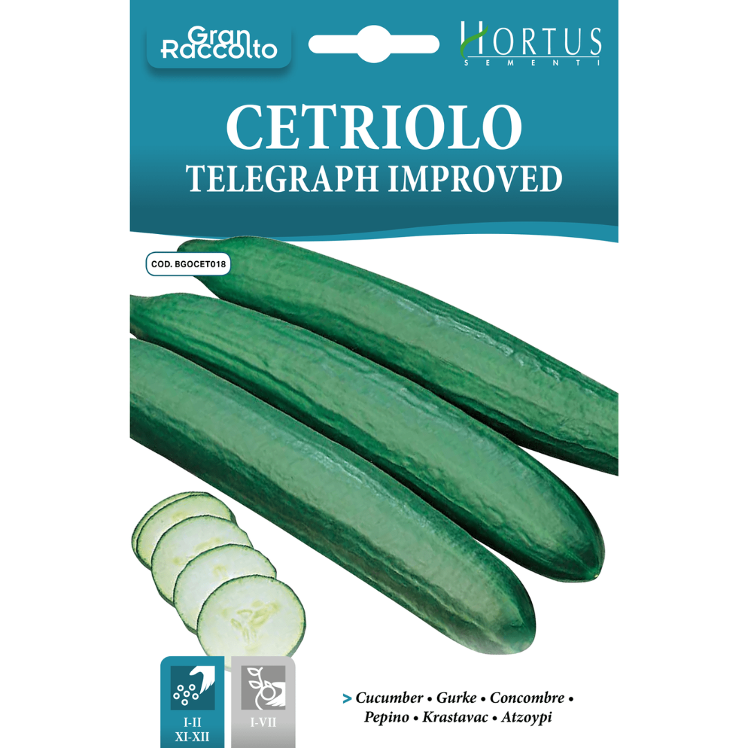 Hortus improved Cucumber 40+ Seeds