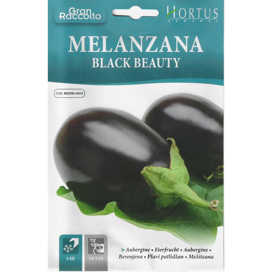Hortus Round Brinjal 7gm