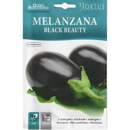 Hortus Round Brinjal 7gm