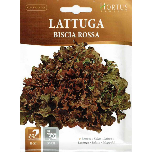 Hortus Red Lettuce (Lattuga Biscia Rossa) 6gm