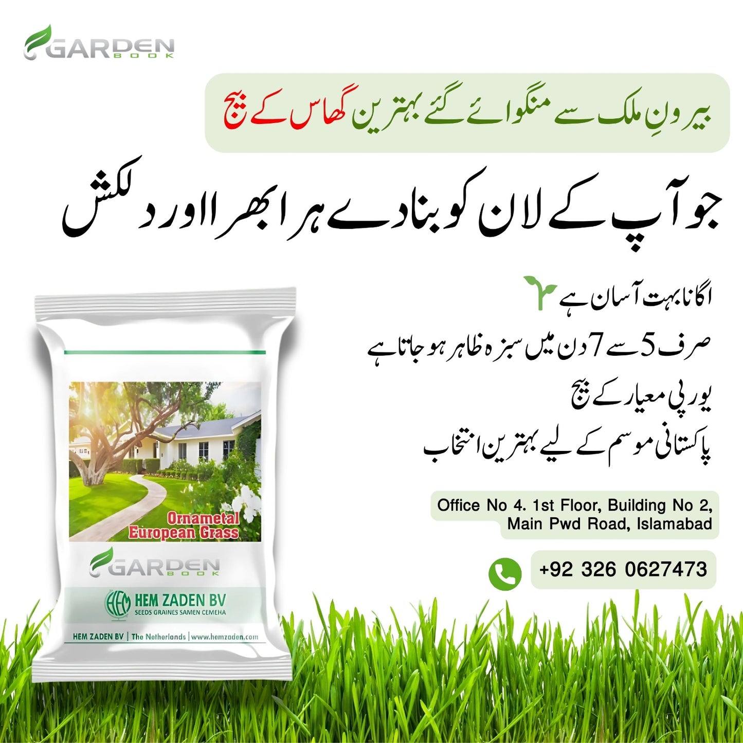 Imported European All Season Grass Seeds