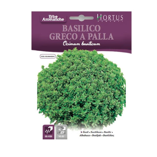 Hortus Dwarf Sweet Basil 600+ Seeds