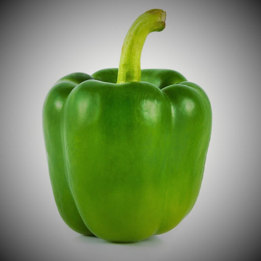 F1 Capsicum (سبز شملہ) 15 Seeds