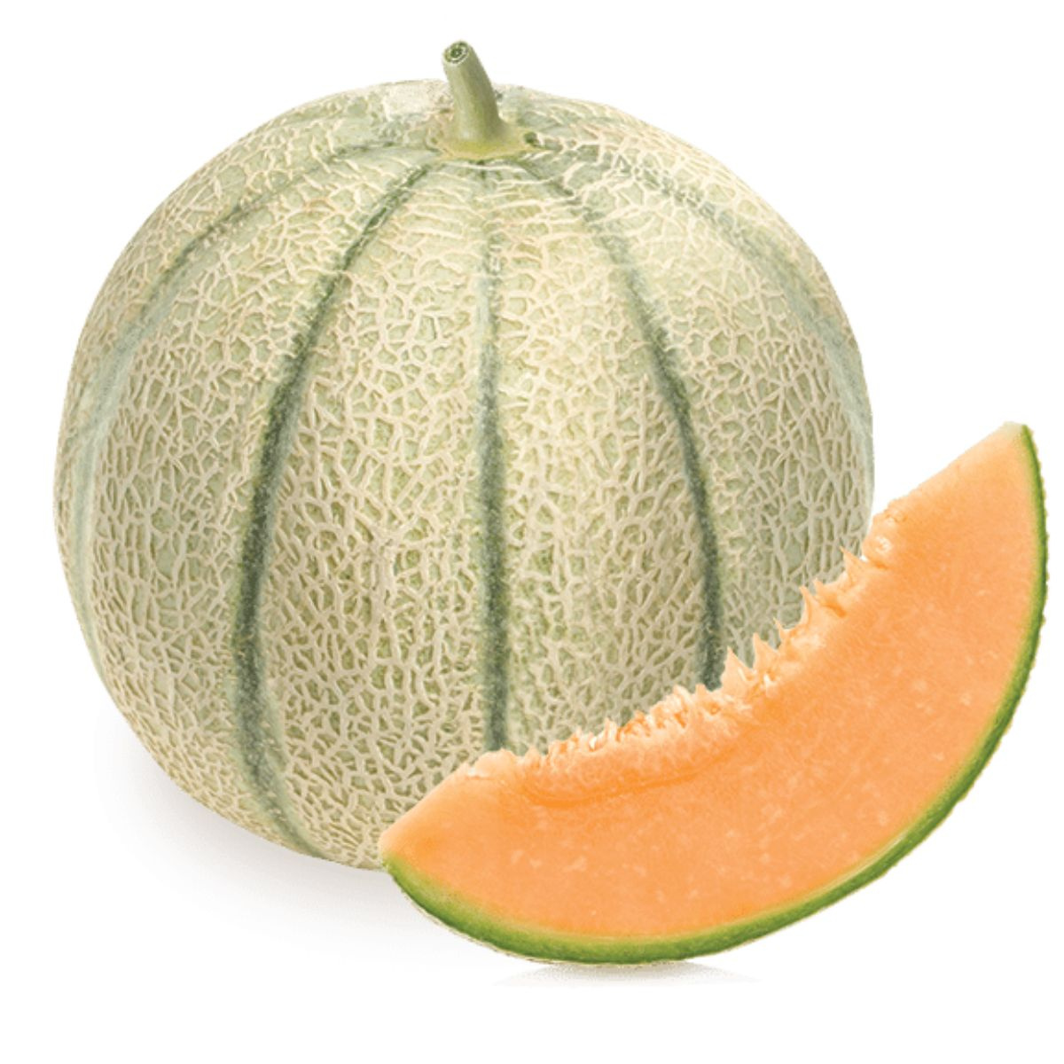 Musk Melon 15 Seeds