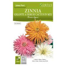 Hortus Zinnia Cactus Mix 100+ Seeds