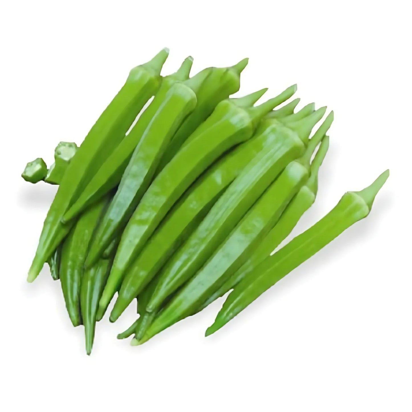 F1 Hybrid Bhindi (بھینڈی) 50+ Seeds